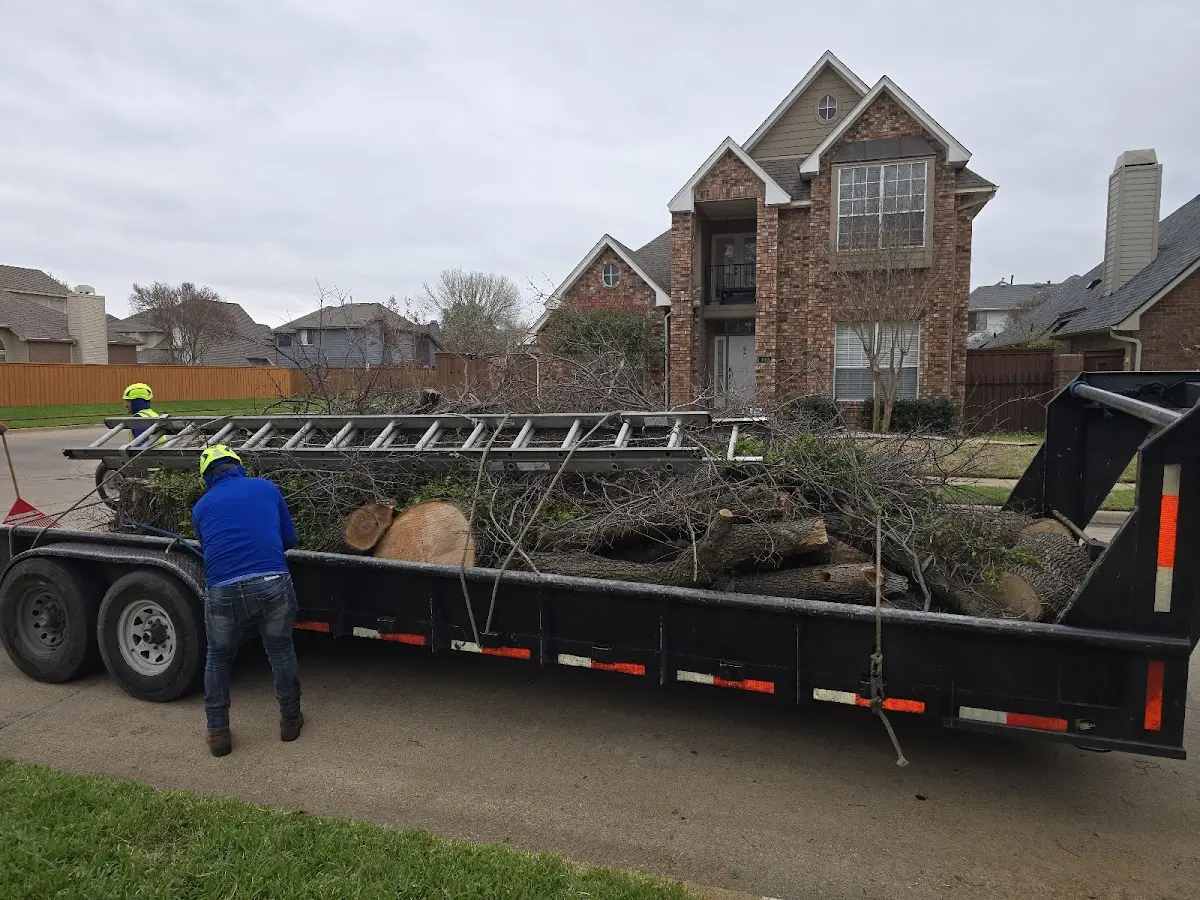 Expert Tree Removal with proper safety equipment in Muncy Valley
